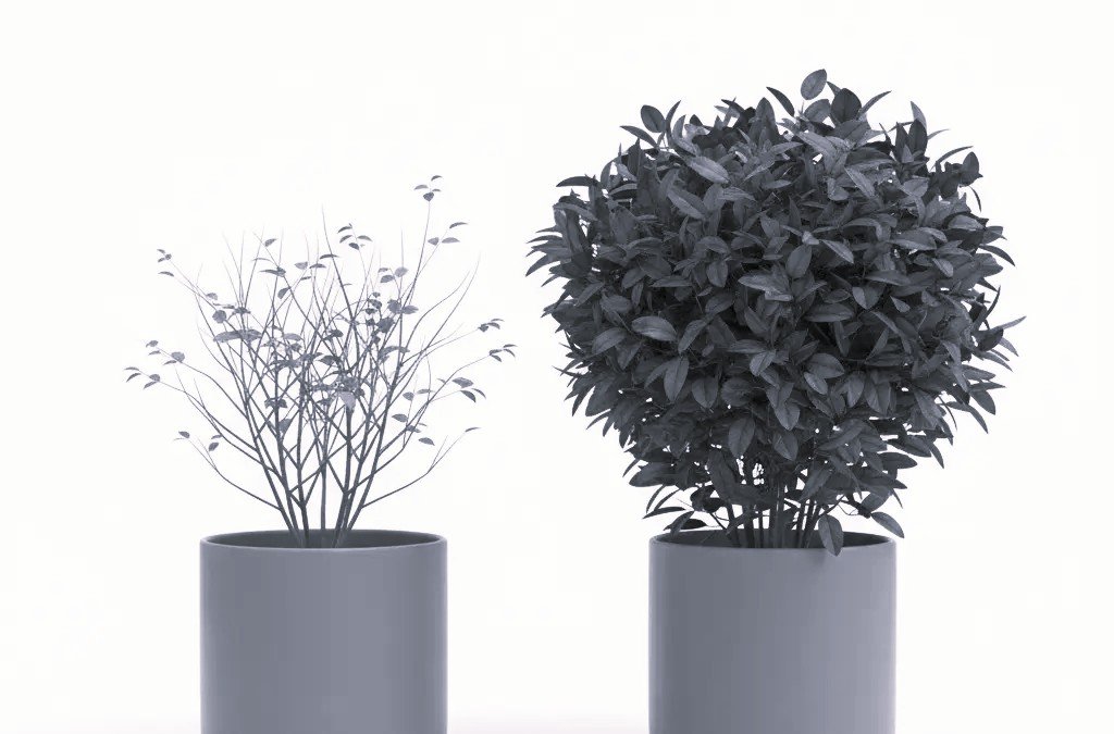 Deux plantes en pot comparant croissance faible et forte — DB France Invest, stratégie financière